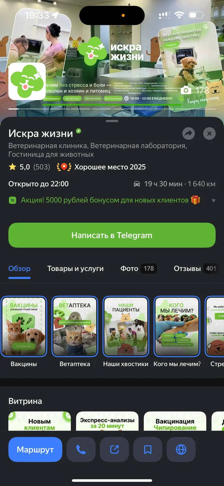 После: Искра жизни — ветеринарная клиника