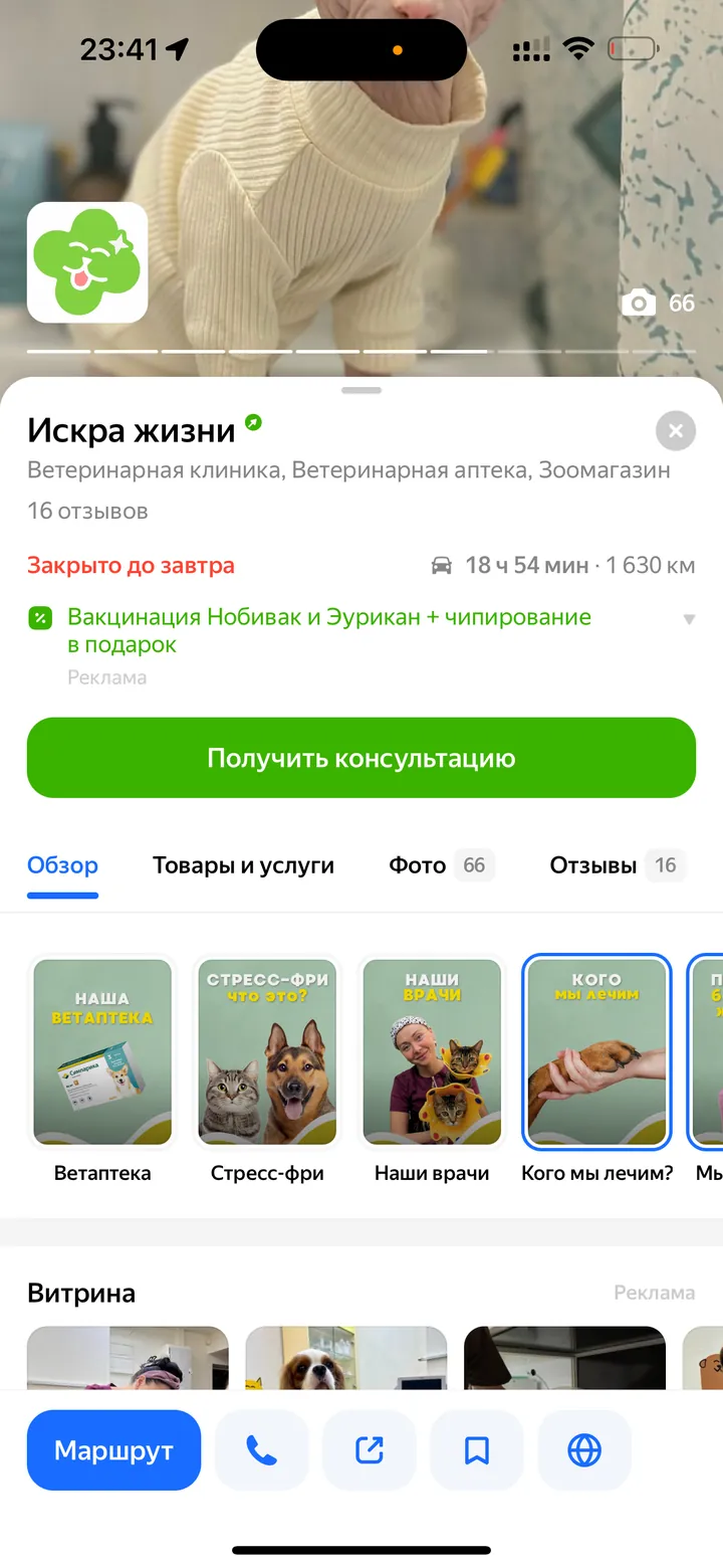 До: Искра жизни — ветеринарная клиника